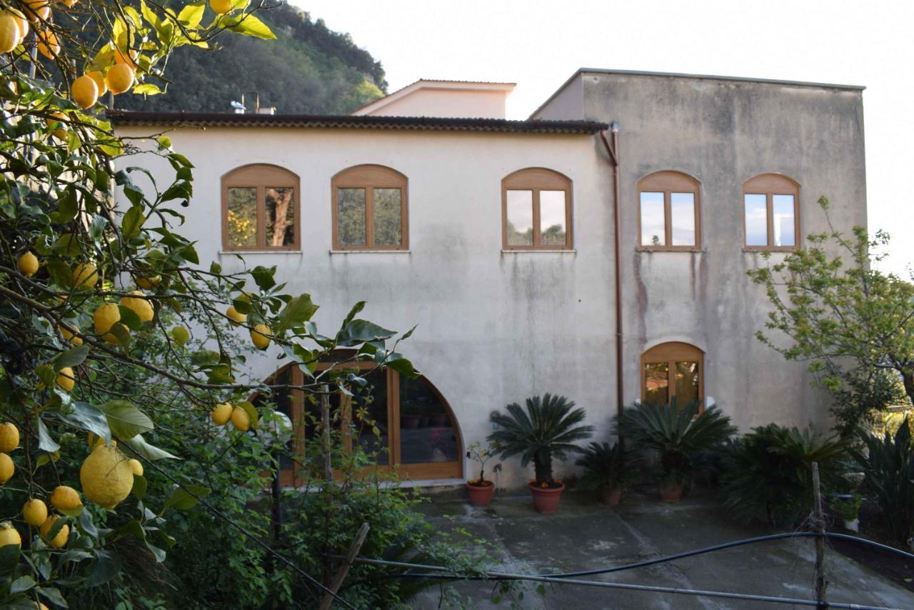 Achille Home B&B Sorrento Exterior photo